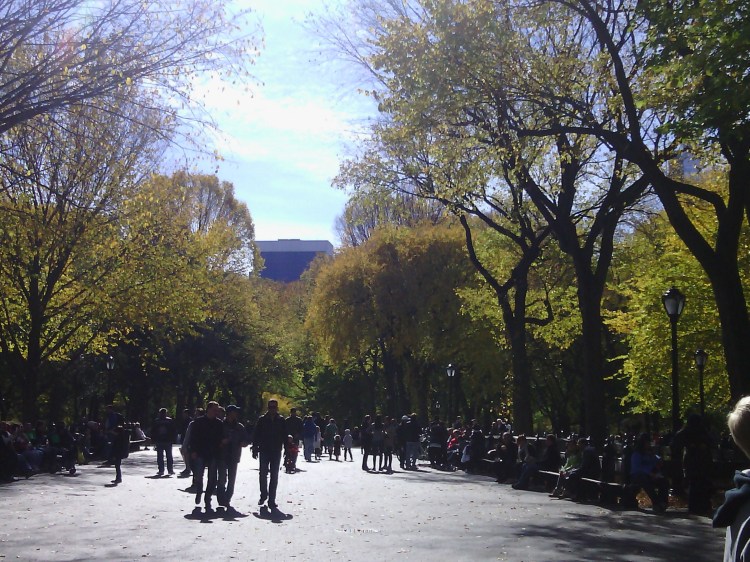 By: Gabriela Yareliz