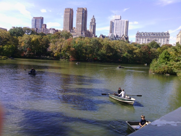 By: Gabriela Yareliz