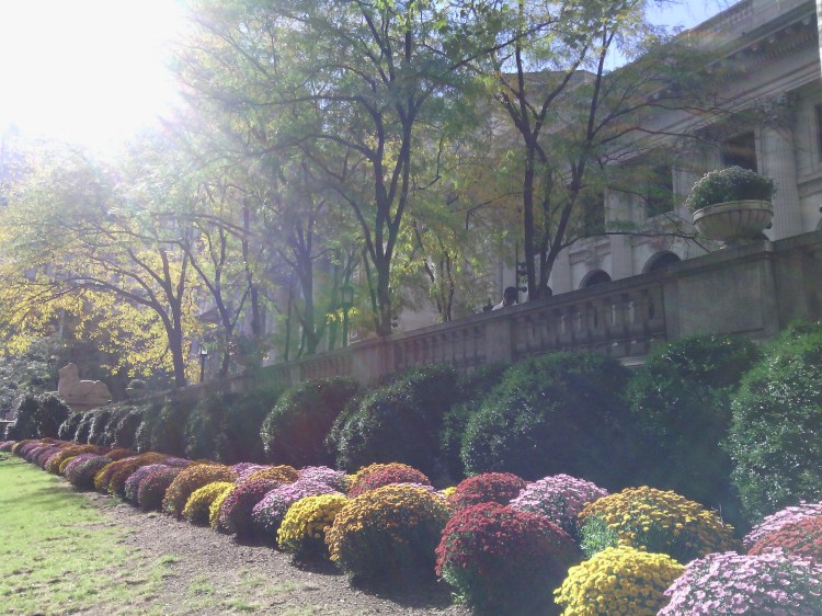 By: Gabriela Yareliz