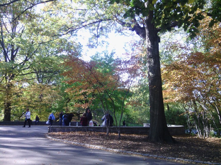 By: Gabriela Yareliz