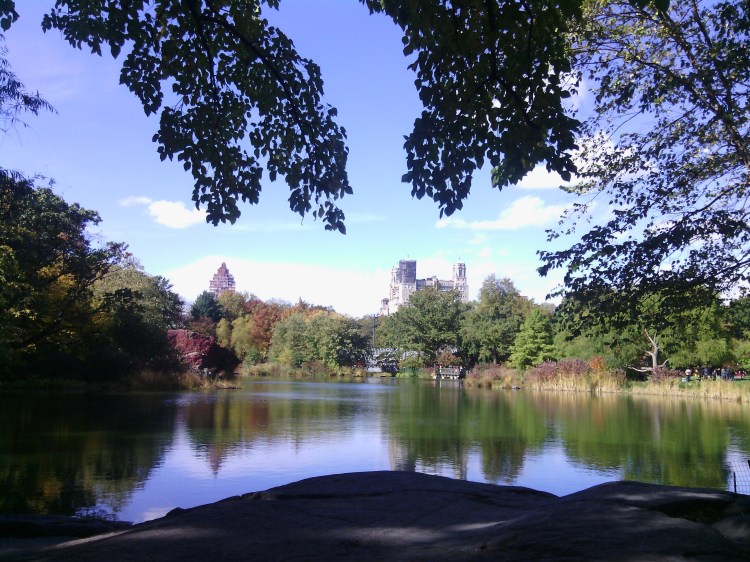 By: Gabriela Yareliz