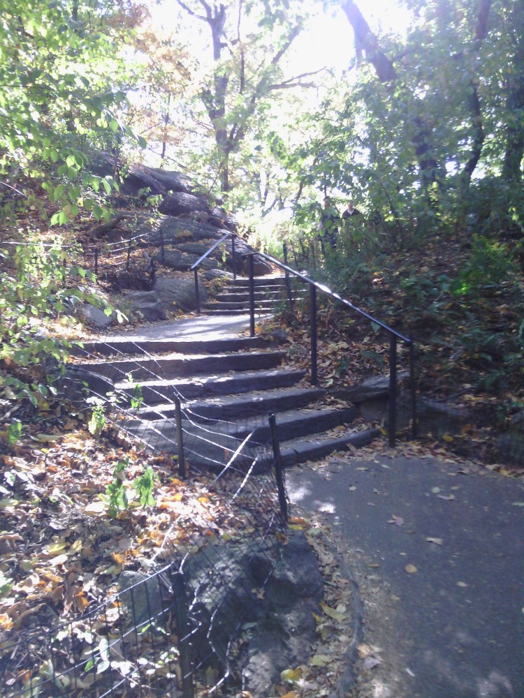 By: Gabriela Yareliz