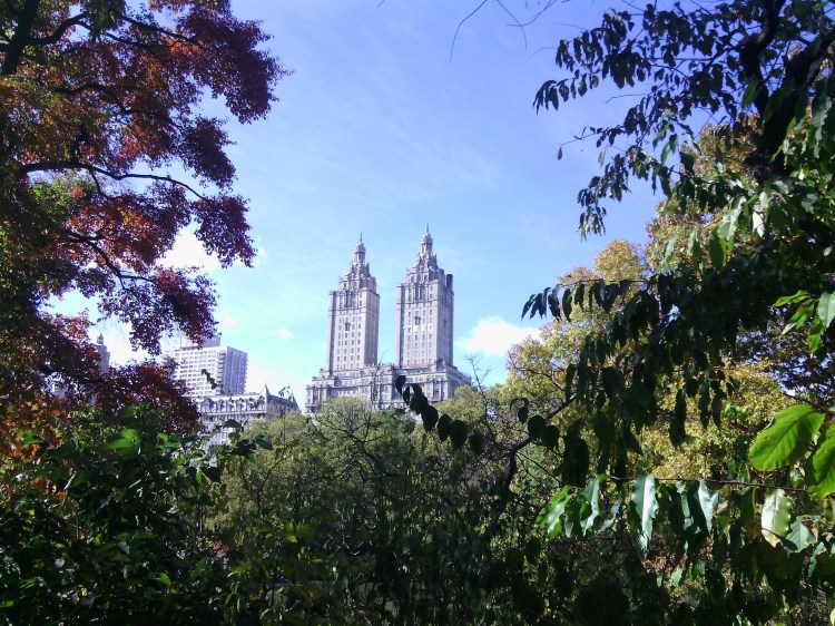 By: Gabriela Yareliz