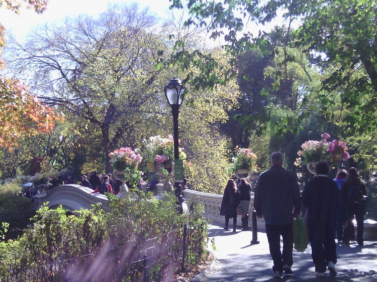 By: Gabriela Gonzalez