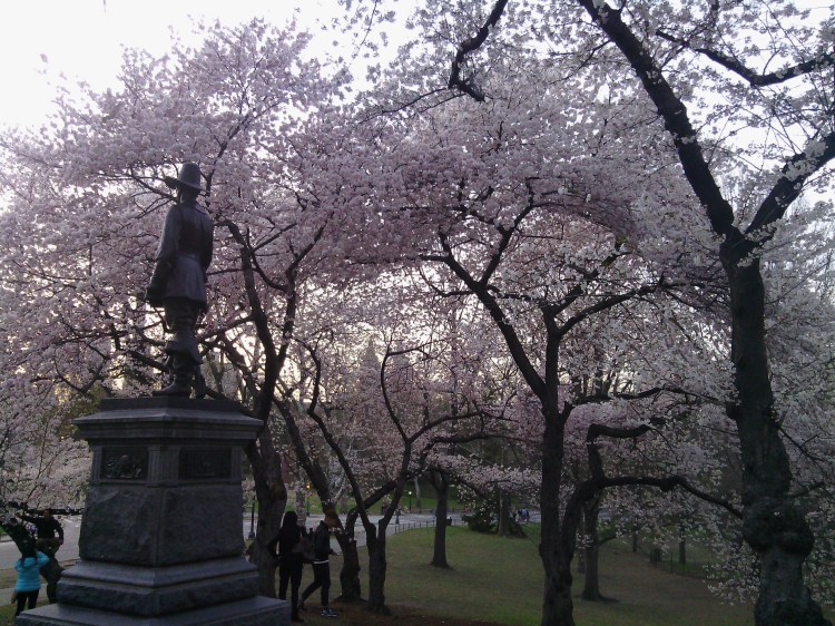 Photo by: Gabriela Yareliz