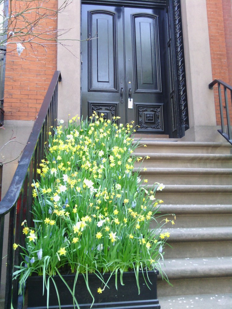 Photo by: Gabriela Yareliz