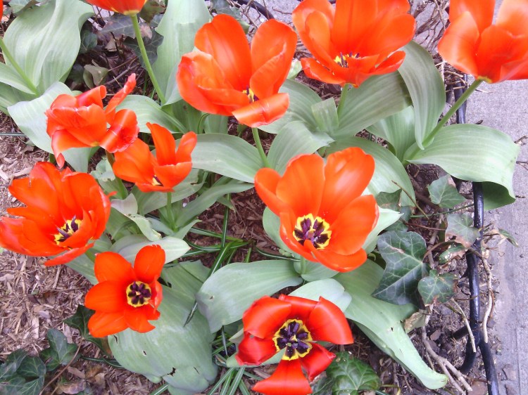 Photo by:  Gabriela Yareliz