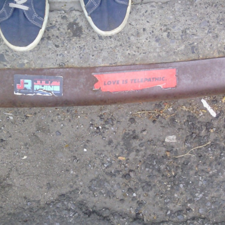 By: Gabriela Yareliz