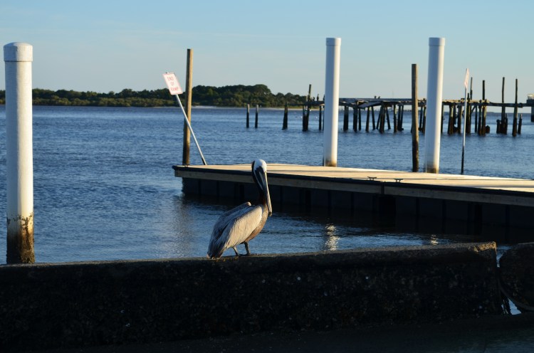 Nature everywhere.  By: Gabriela Yareliz