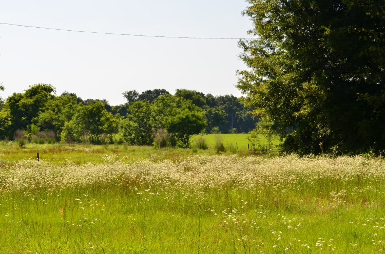 Belongs to Gabriela Yareliz