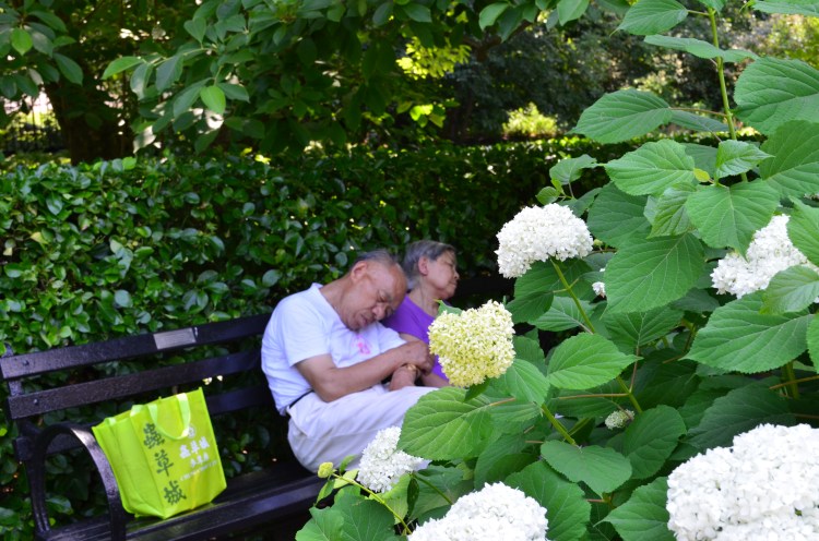 Belongs to Gabriela Yareliz