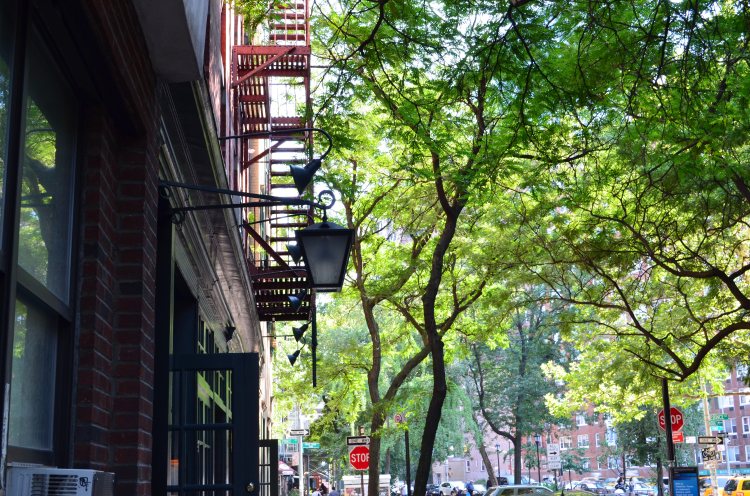 Village; Belongs to Gabriela Yareliz