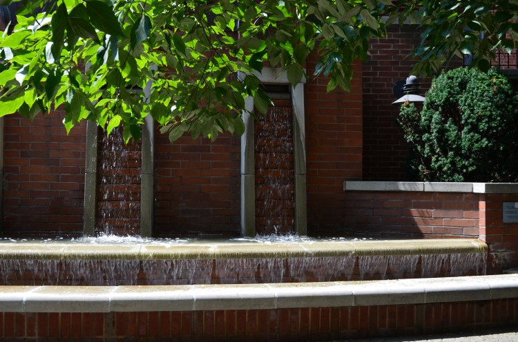 W. Village, NYC; Belongs to Gabriela Yareliz