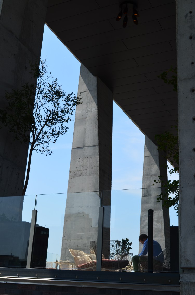 Chelsea, Highline Park, NYC; Belongs to Gabriela Yareliz