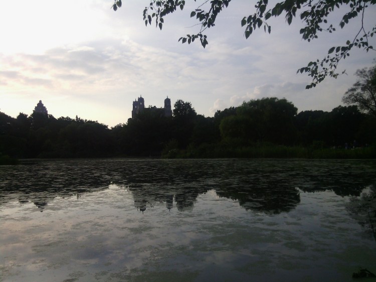 Belongs to: Gabriela Yareliz