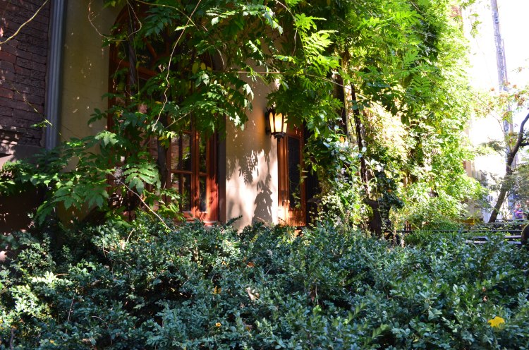 Autumn in the Village; Belongs to: Gabriela Yareliz