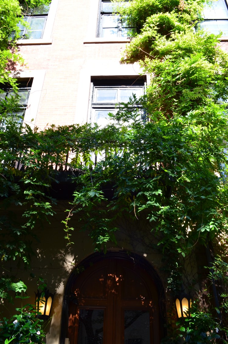 The Village; Belongs to: Gabriela Yareliz