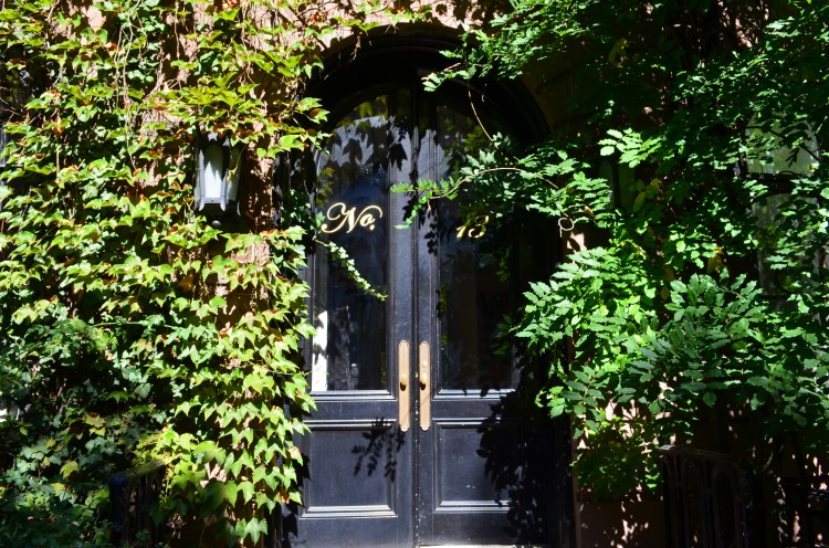 The Village; Belongs to: Gabriela Yareliz