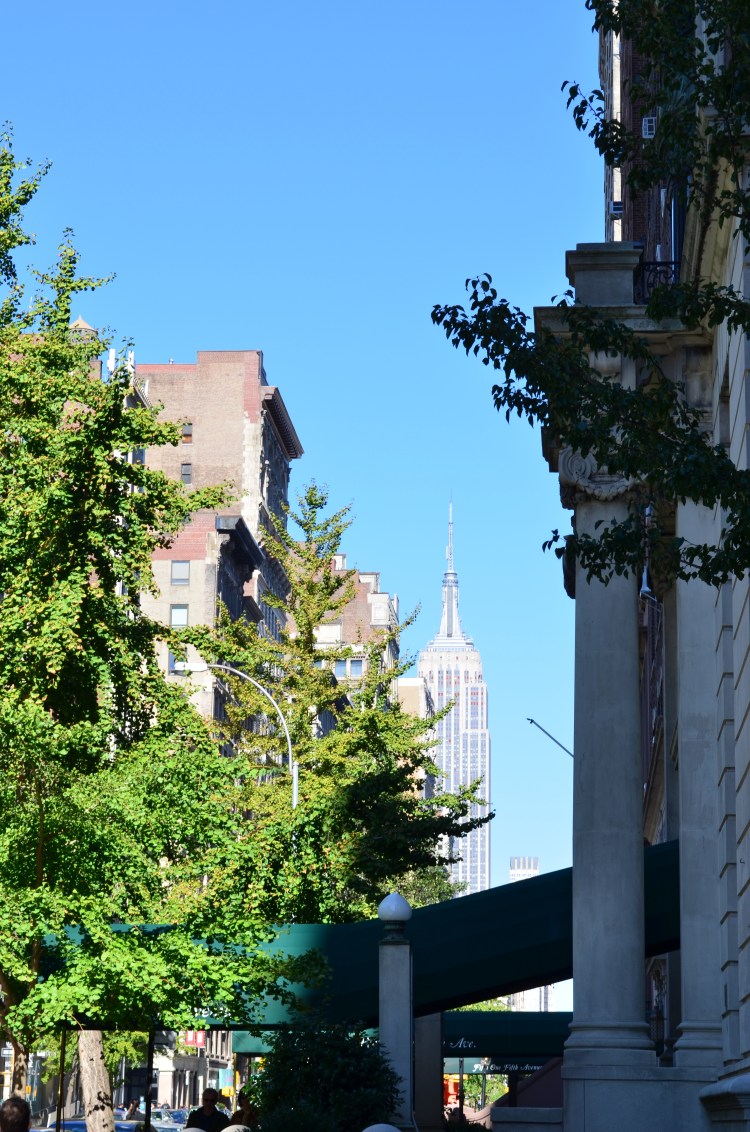 The Empire State Building (blocks away, from the Village); Belongs to: Gabriela Yareliz