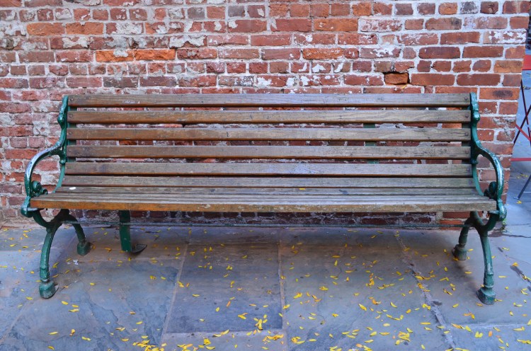 Autumn leaves sprinkled around the South Street Seaport; Belongs to: Gabriela Yareliz