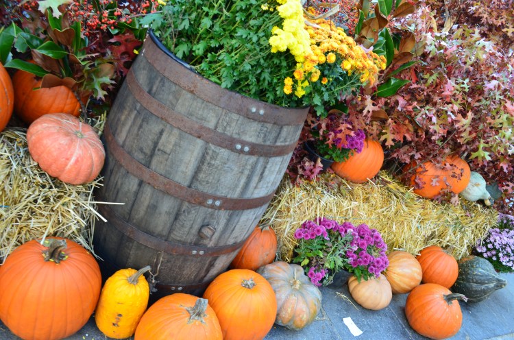 South Street Seaport District; Belongs to: Gabriela Yareliz
