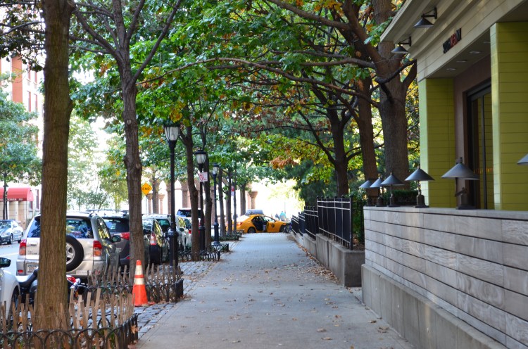 South End (Lower Manhattan); Belongs to: Gabriela Yareliz