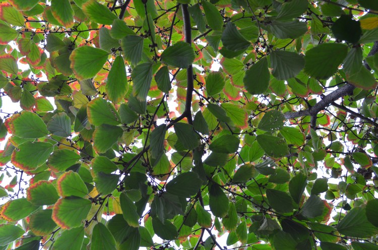 Lying on a bench--my specialty; Belongs to: Gabriela Yareliz