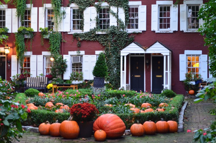 I always find the secret courtyards. They are all mine. Belongs to: Gabriela Yareliz