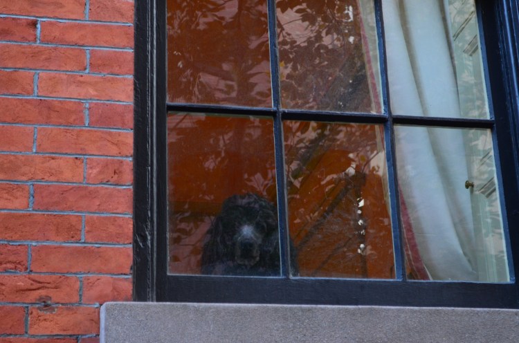 Ello Poppet! Belongs to: Gabriela Yareliz