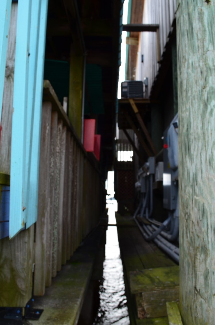 Belongs to: Gabriela Yareliz