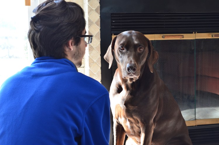 Belongs to Gabriela Yareliz