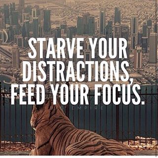 12362638_1710406175861707_333317262_n