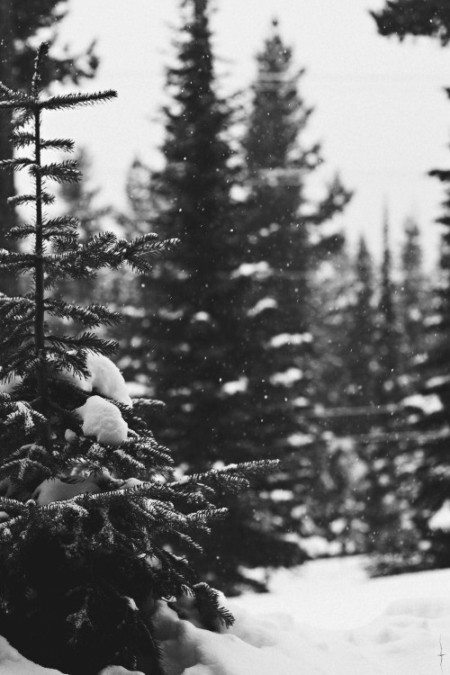 tumblr_nypto8mzak1ux8tw7o1_500