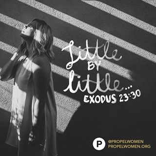 12599018_1305887249432283_1923273167_n