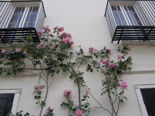 tumblr_lxpfdu054j1qf6wkmo1_500