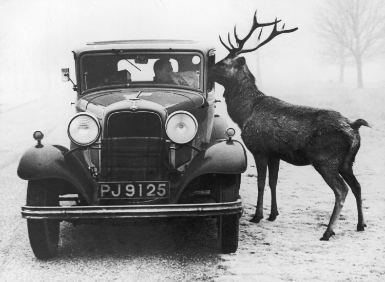 tumblr_m7joijxlur1qaouuqo1_1280