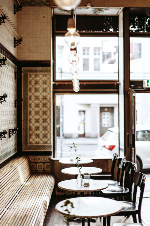 tumblr_nzo4v9i8ol1r4dewjo1_500