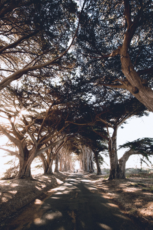 tumblr_nywnhyxxj41rhhw72o1_500