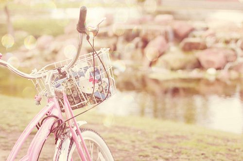 7b09d5de8fdb91cee3d96c4dbb51c26d