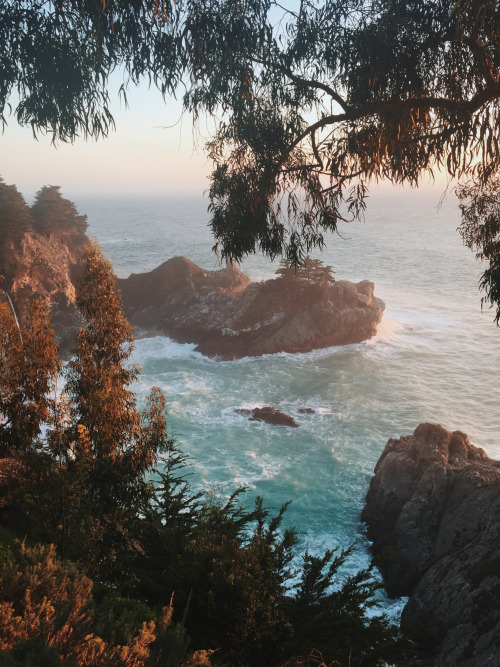 Processed with VSCOcam with c8 preset