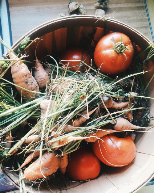 tumblr_o33qm8t3l61s4cwkuo1_500