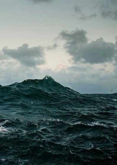 tumblr_np7u6ojx9n1u04koqo1_400