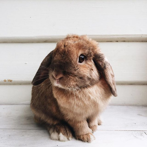 tumblr_o7n7xo7lfu1u8qryro1_5001