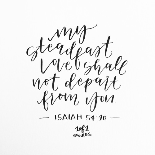 tumblr_o806xt4xqf1rv393go1_500