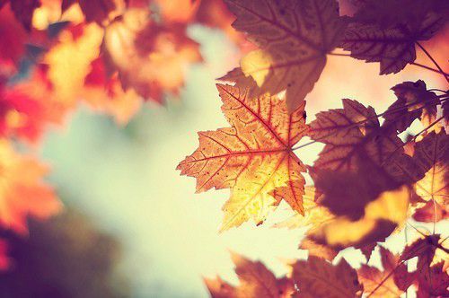 4d07b97234bd53901deb26c7a38b85ff