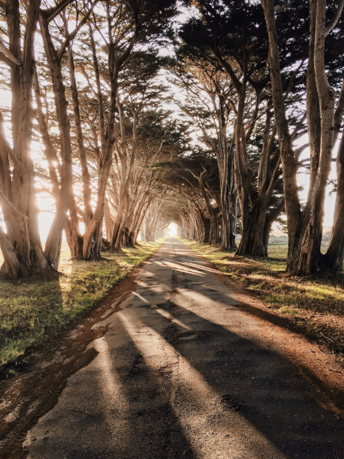 tumblr_njj20kh8pb1t8bsa2o1_500