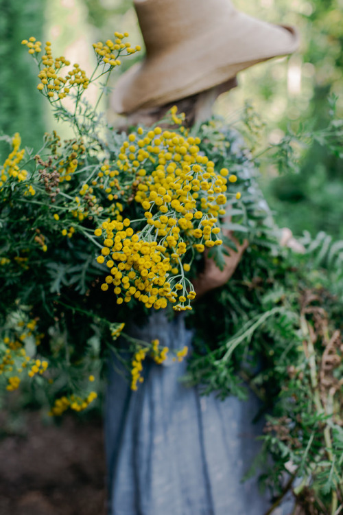 tumblr_o53zwkr5ls1qzt8yio1_500