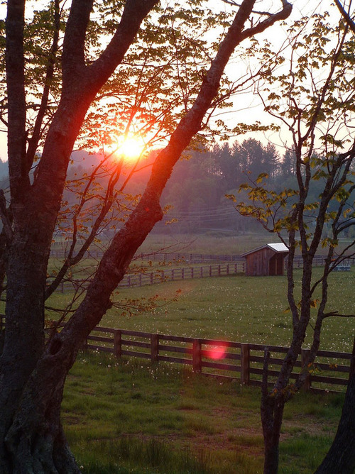 tumblr_nc7buujw1m1rsum20o1_500