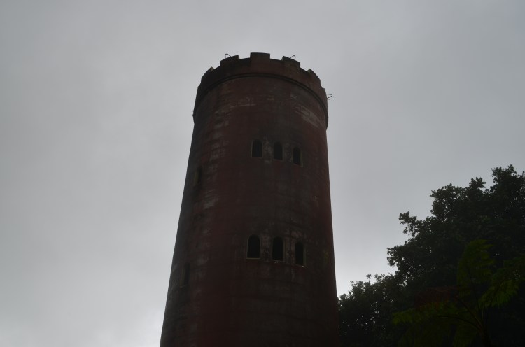 Photo belongs to Gabriela Yareliz