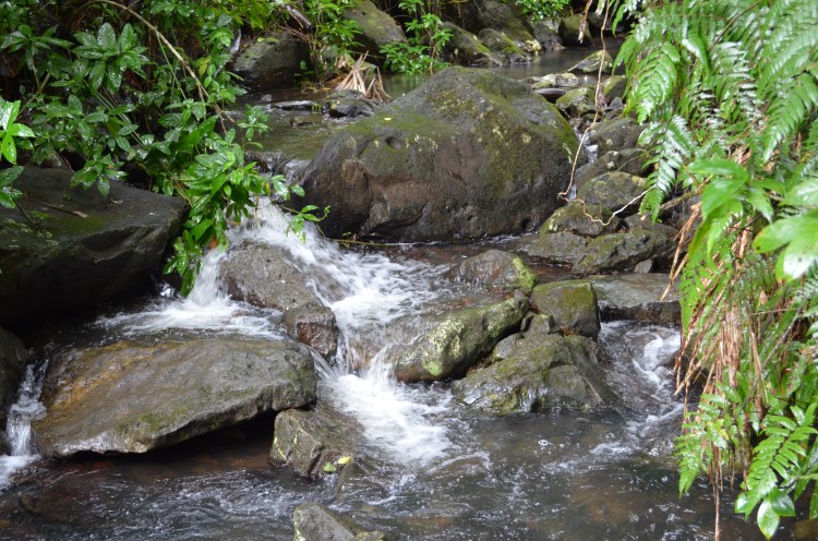 Photo belongs to Gabriela Yareliz